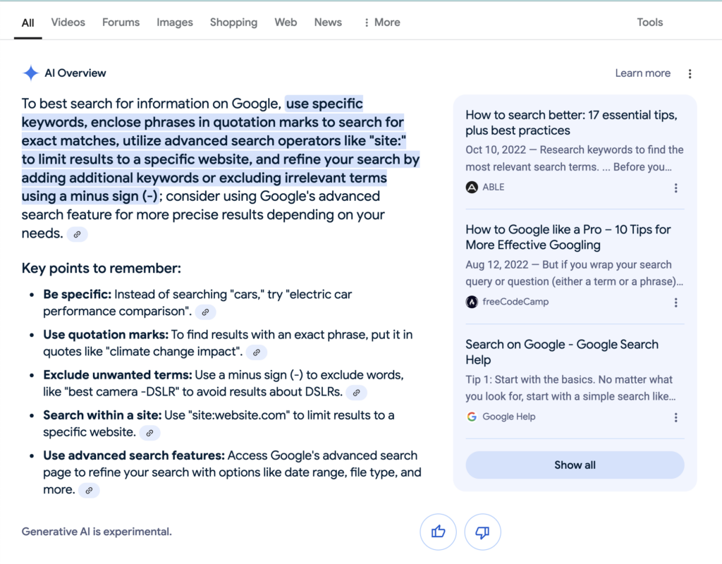 Google AI Overview Example