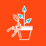 Complexity builds gradually