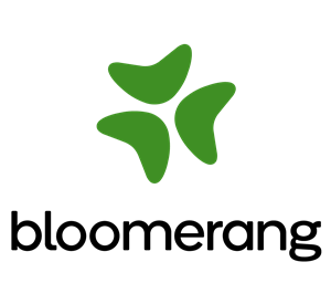 Bloomerang CRM