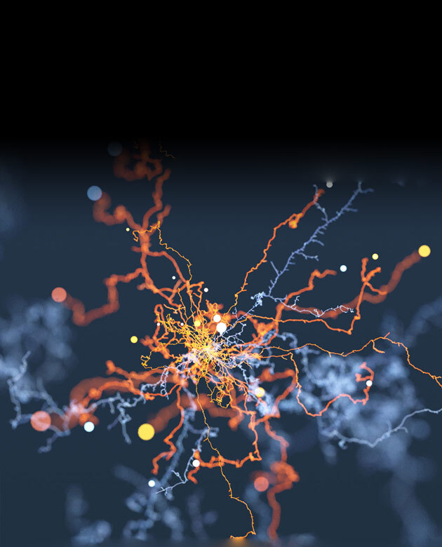 Charcot-Marie-Tooth Association (CMTA)