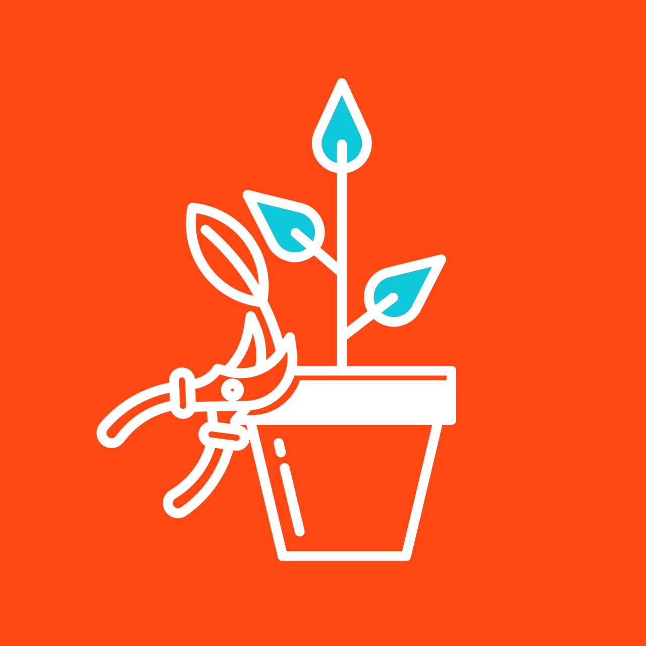 Complexity builds gradually